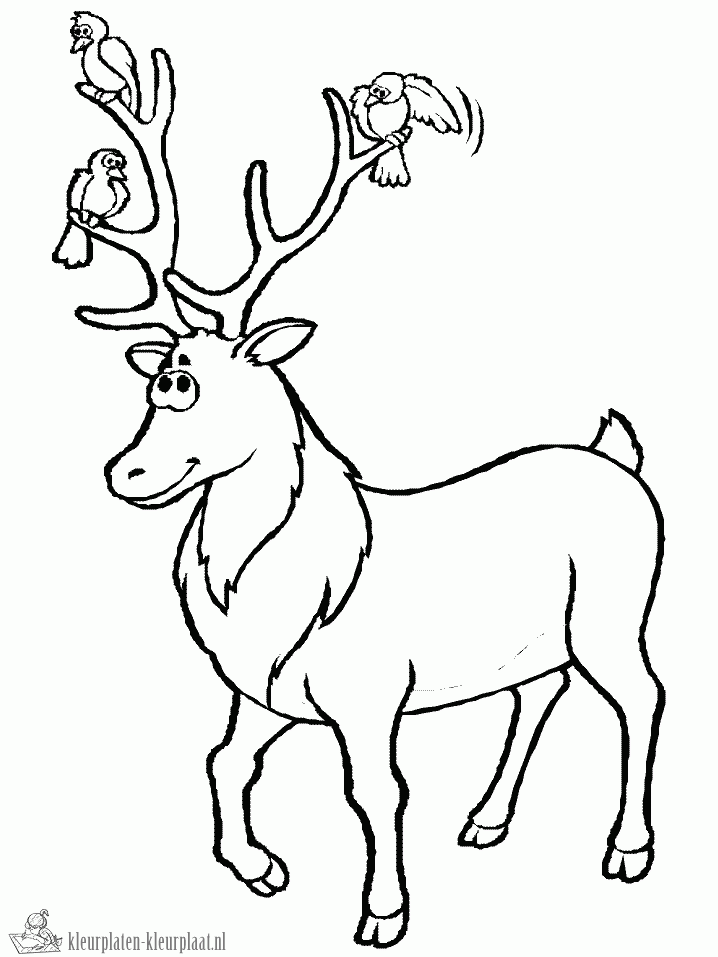 Hert 18 kleurplaat