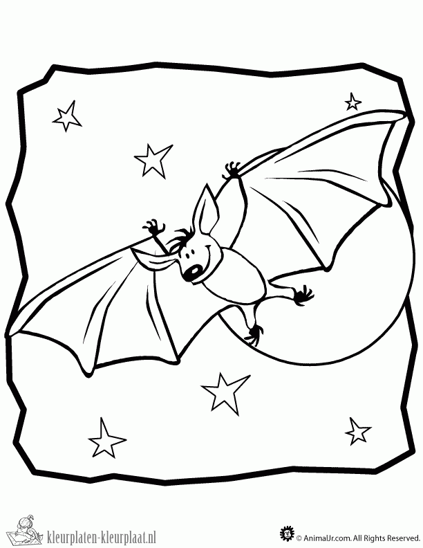 Vleermuis 16 kleurplaat