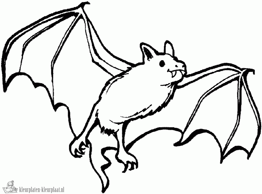 Vleermuis 8 kleurplaat