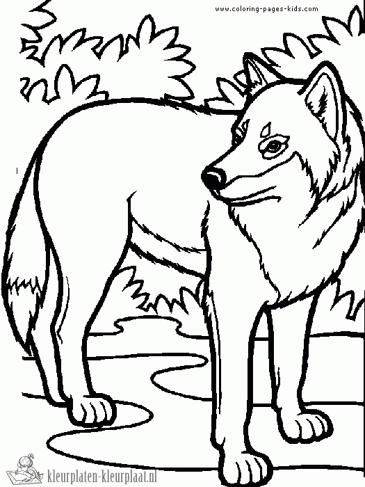 Wolf 5 kleurplaat