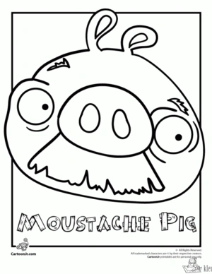 Angry birds 15 kleurplaat