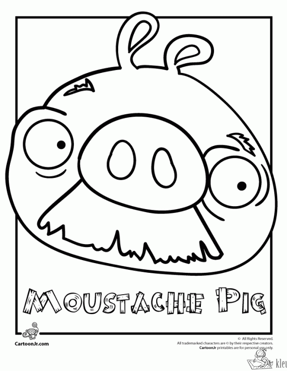 Angry birds 15 kleurplaat