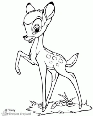 Bambi 24 kleurplaat