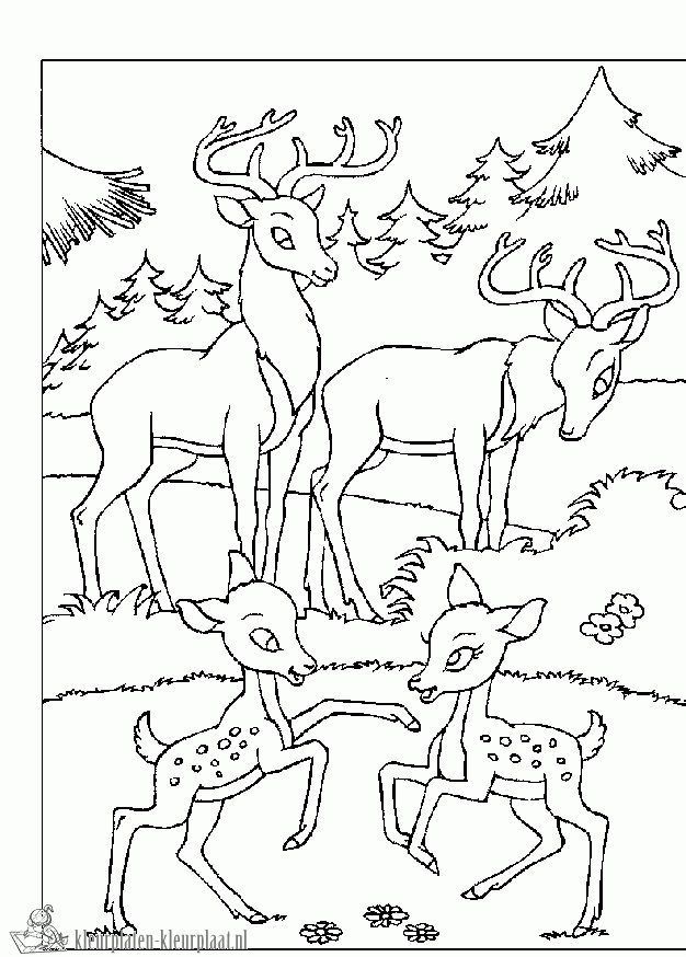 Bambi 33 kleurplaat