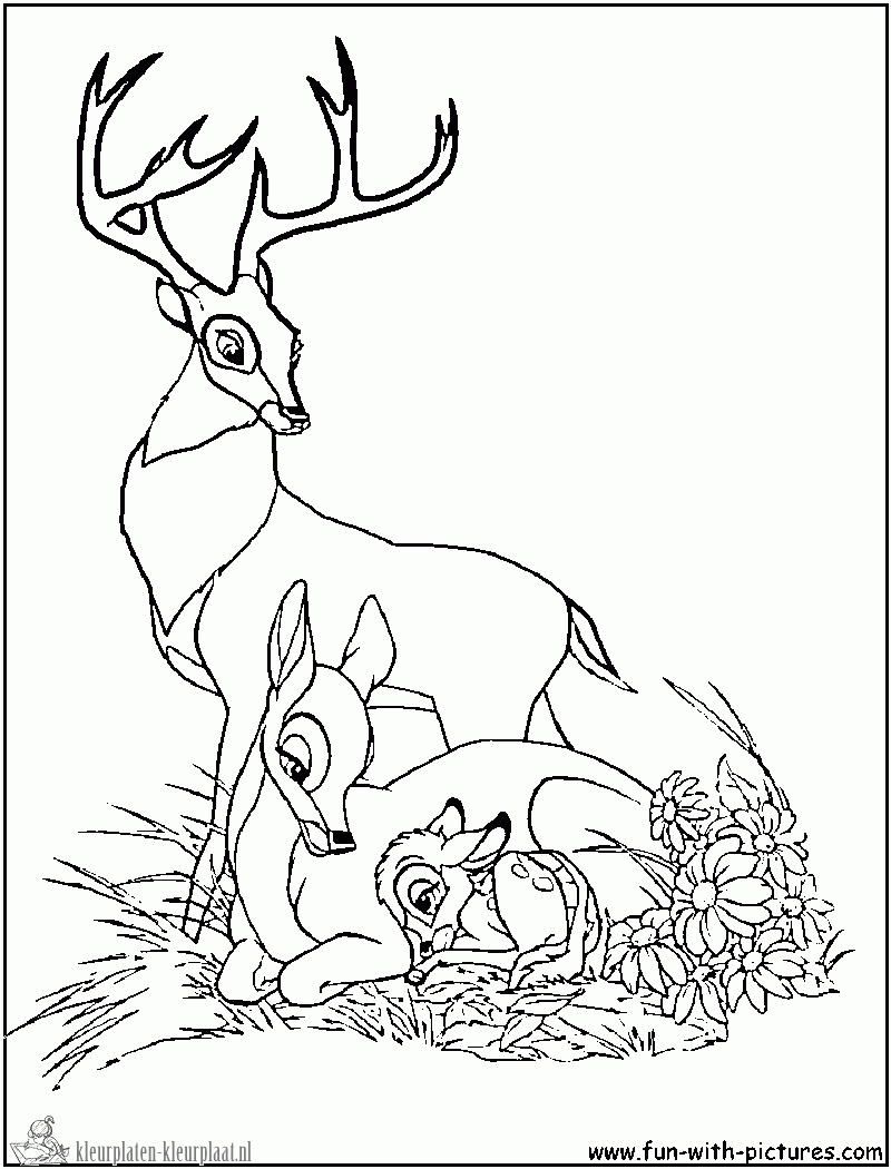 Bambi 5 kleurplaat