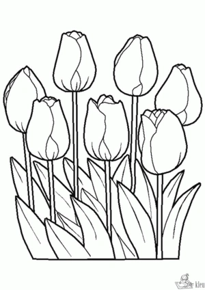 Bloemen 13 kleurplaat