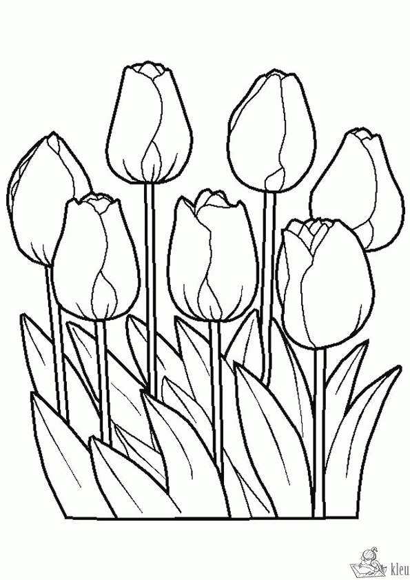 Bloemen 13 kleurplaat