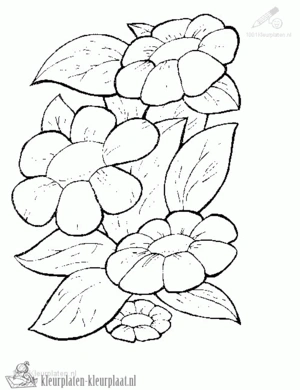 Bloemen 26 kleurplaat
