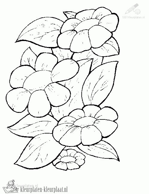 Bloemen 26 kleurplaat
