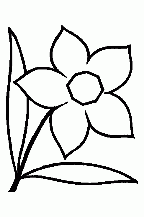 Bloemen 30 kleurplaat