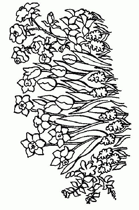 Bloemen 34 kleurplaat