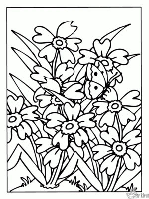 Bloemen 43 kleurplaat