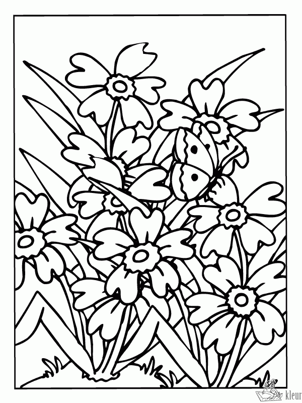 Bloemen 43 kleurplaat