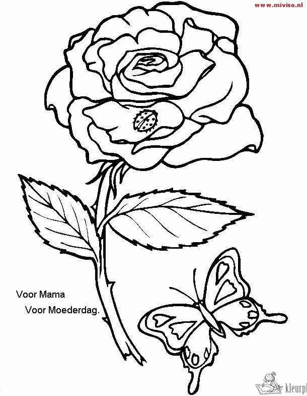 Bloemen 66 kleurplaat