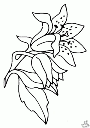 Bloemen 73 kleurplaat