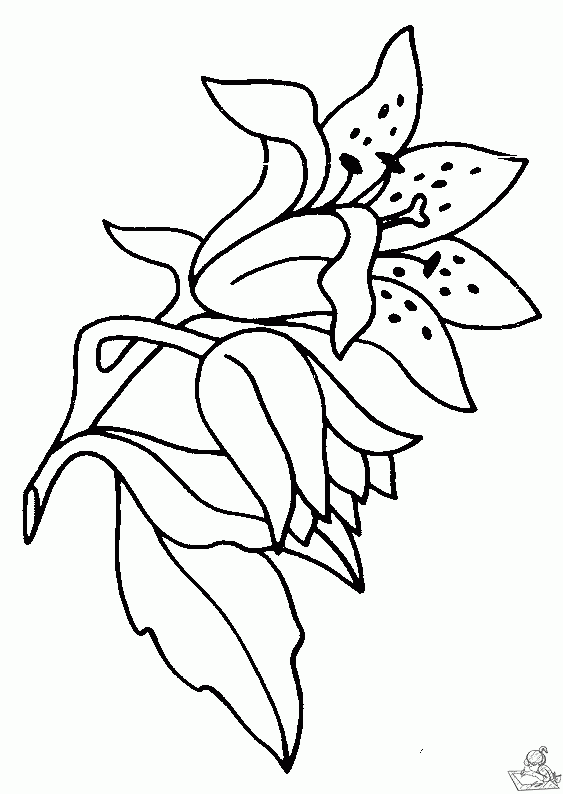 Bloemen 73 kleurplaat