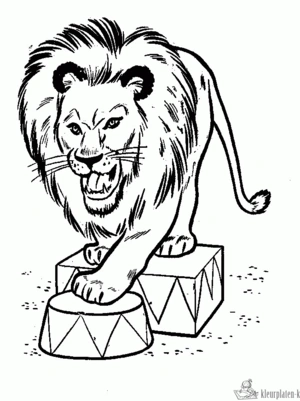 Circus 34 kleurplaat