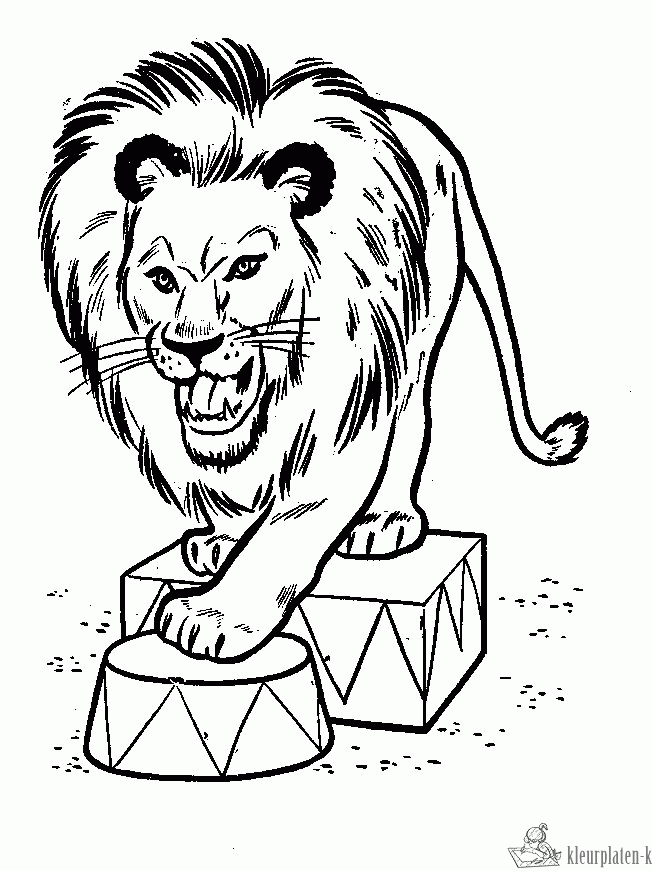 Circus 34 kleurplaat