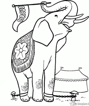 Circus 35 kleurplaat