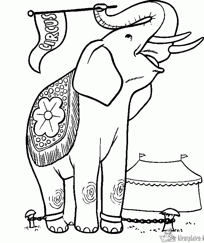 Circus 35 kleurplaat