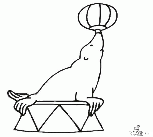 Circus 54 kleurplaat