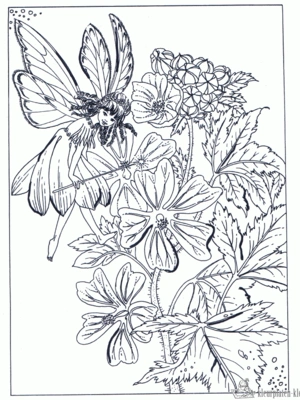 Elfjes 36 kleurplaat