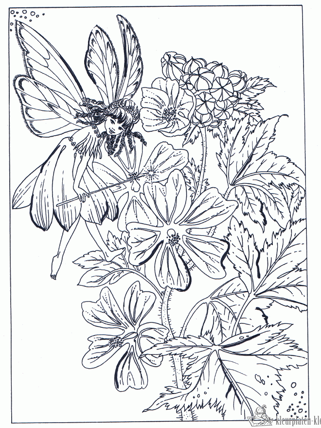 Elfjes 36 kleurplaat