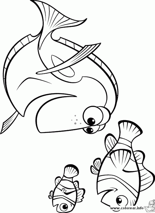 Finding nemo 34 kleurplaat