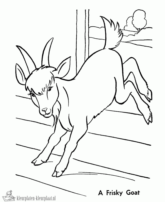 Geit 30 kleurplaat