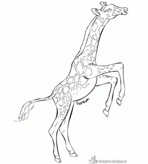 Giraffe 27 kleurplaat