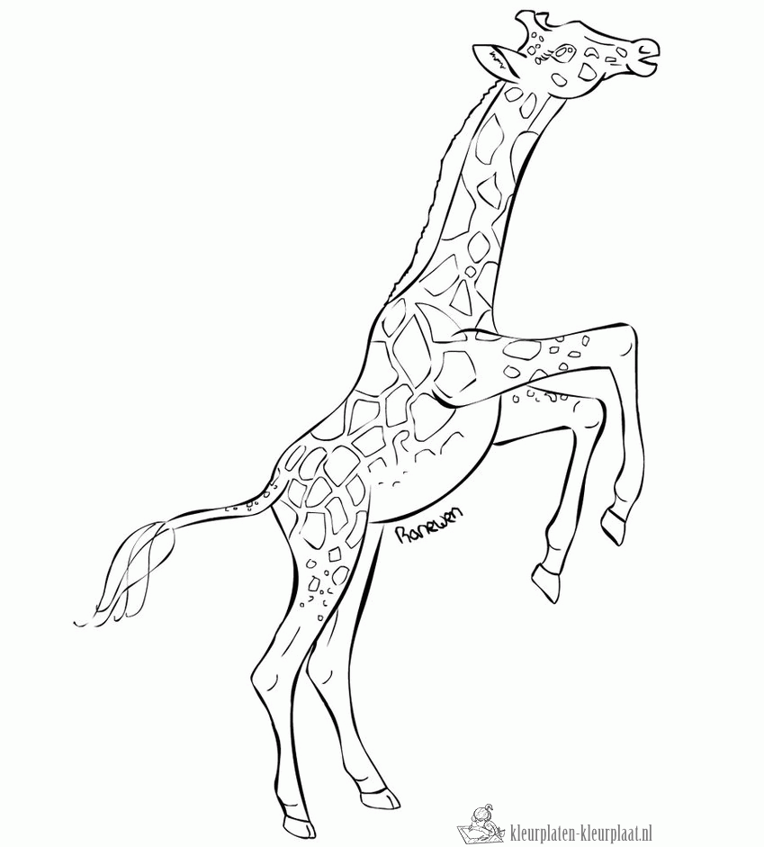 Giraffe 27 kleurplaat