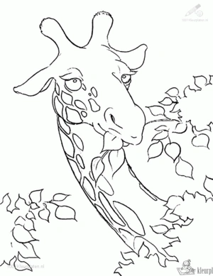 Giraffe 29 kleurplaat