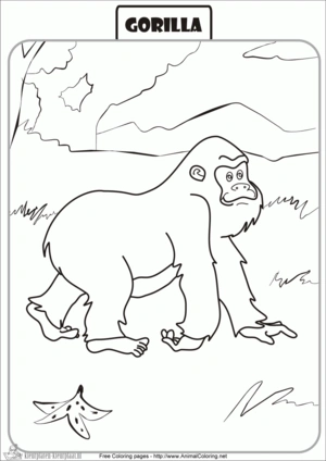 Gorilla 13 kleurplaat