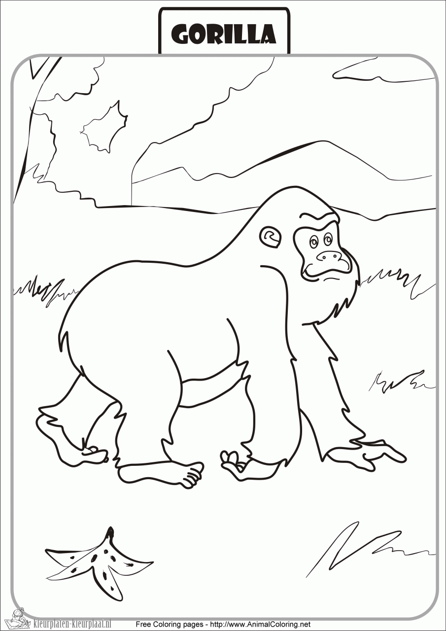 Gorilla 13 kleurplaat