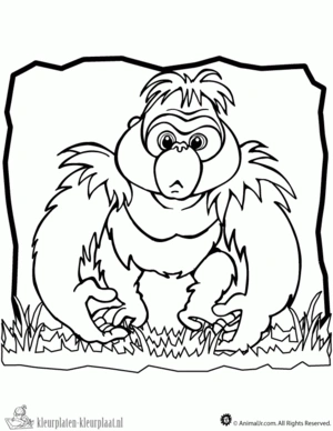 Gorilla 16 kleurplaat