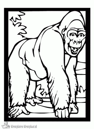 Gorilla 17 kleurplaat