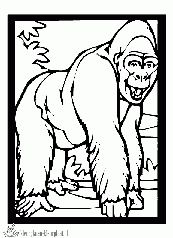 Gorilla 17 kleurplaat