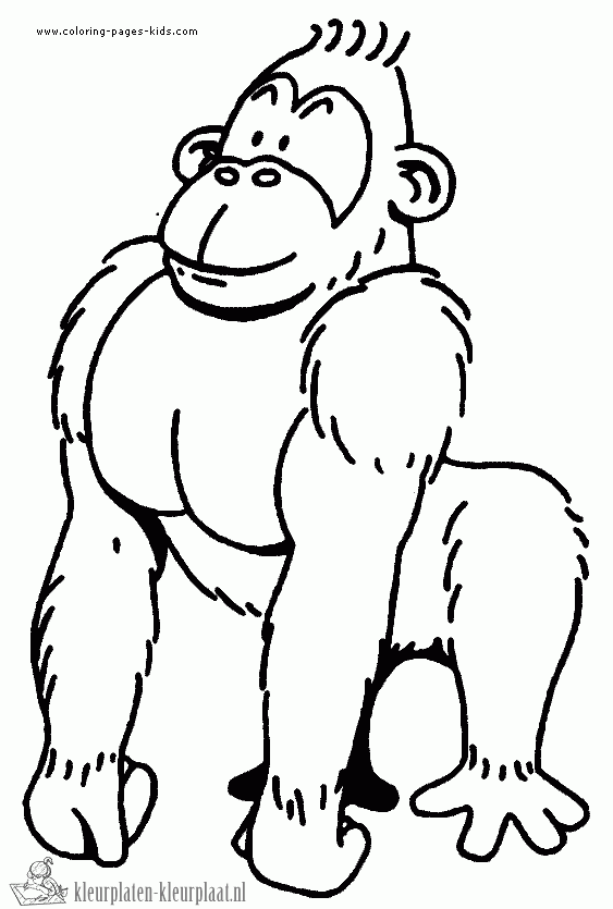 Gorilla 18 kleurplaat