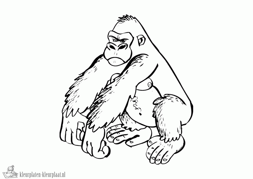 Gorilla 19 kleurplaat