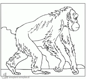 Gorilla 20 kleurplaat