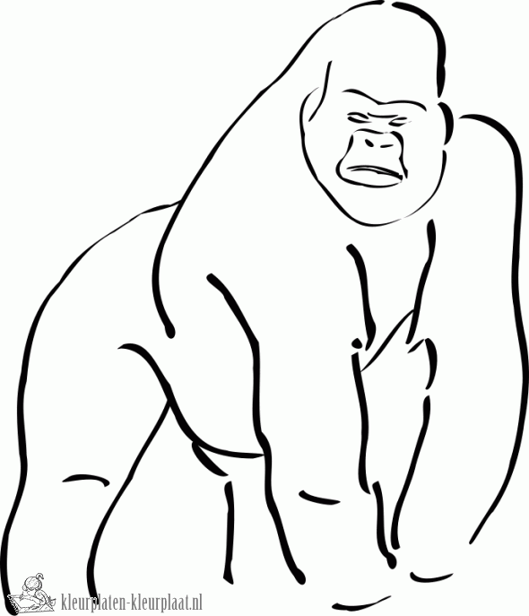 Gorilla 6 kleurplaat