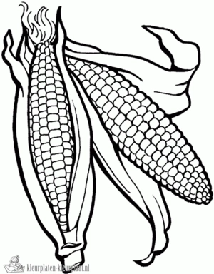 Groente 23 kleurplaat