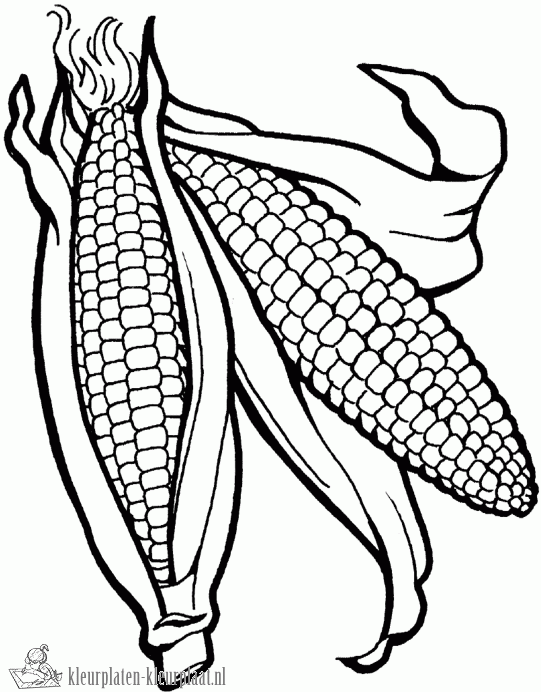 Groente 23 kleurplaat
