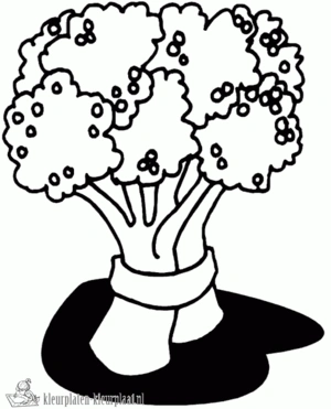 Groente 25 kleurplaat