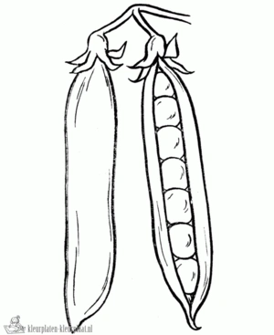 Groente 48 kleurplaat