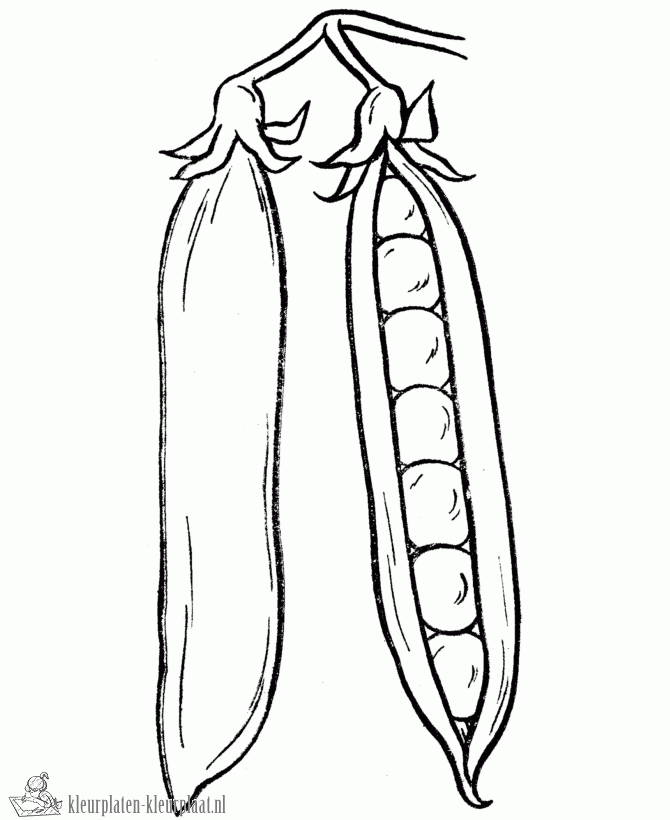 Groente 48 kleurplaat