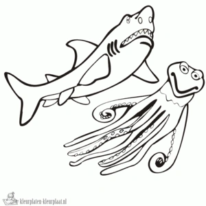 Haai 27 kleurplaat