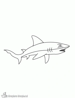 Haai 3 kleurplaat