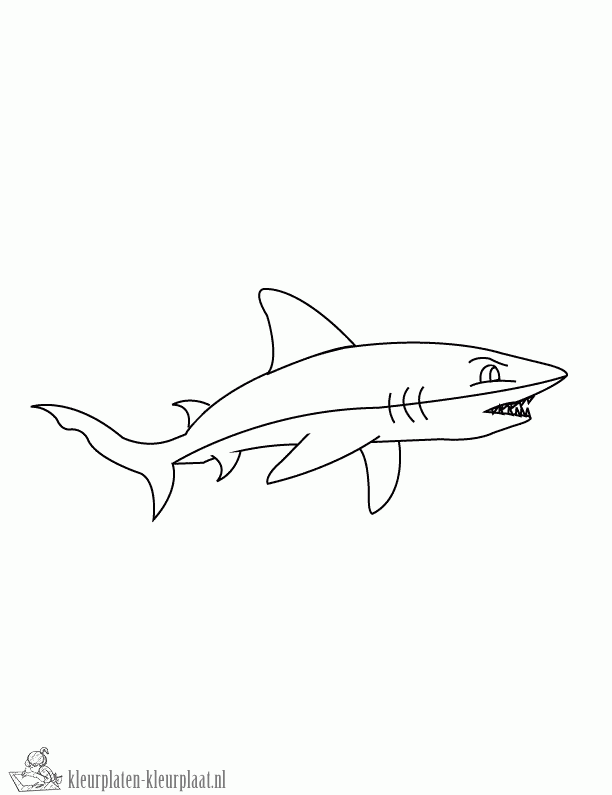 Haai 3 kleurplaat