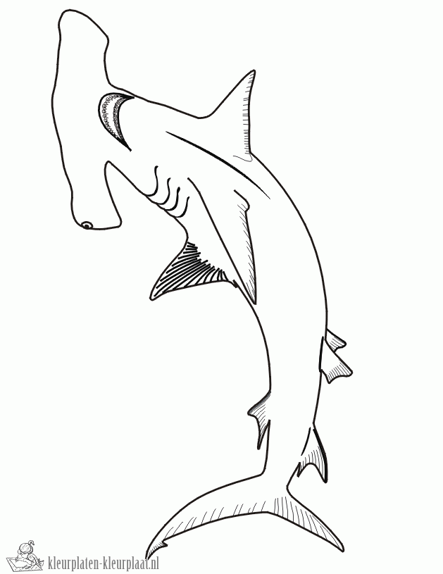 Haai 33 kleurplaat